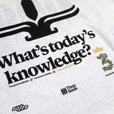 Inner Study Long Sleeve - Light Heather Grey